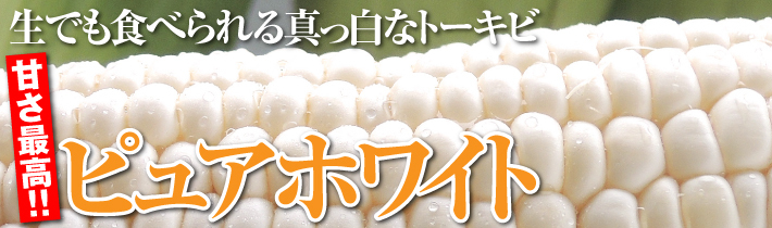 ピュアホワイト