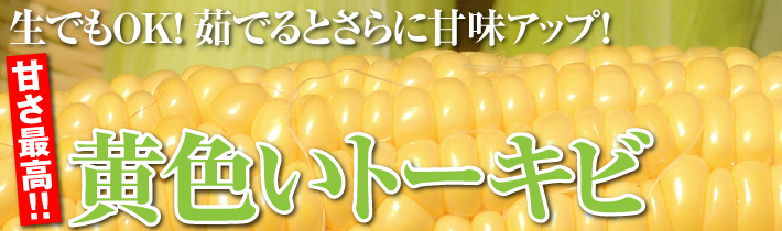 黄色いトーキビ