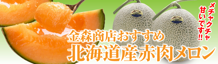 北海道赤肉メロン