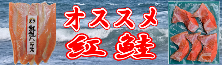 紅鮭