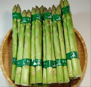 グリ-ンアスパラ 2Lサイズ 10束 (30~40本) 1.5kg位で 6.200円