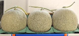 北海道産メロン 秀品特々大 3個 2.5kg前後×3個