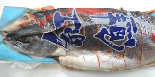 紅鮭姿切 1尾 （焼き魚） 2.5kg前後