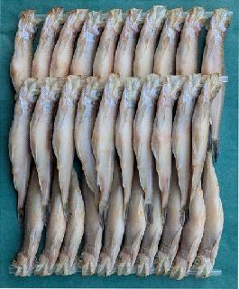 北海道産ししゃも (焼き魚) メス30尾
