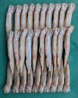 北海道産ししゃも (焼き魚) オス30尾