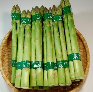 グリ-ンアスパラ 2Lサイズ 15束 (45~60本) 2.2kg位で 9.300円