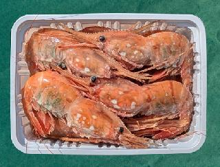刺身用ぼたんえび 500g 9〜10尾 Lサイズ 500g 9〜10尾