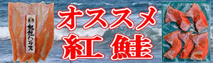 紅鮭