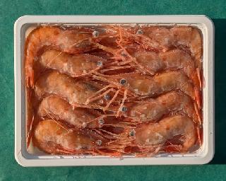 刺身用ぼたんえび 200g 9〜10尾 2Sサイズ 200g 9〜10尾